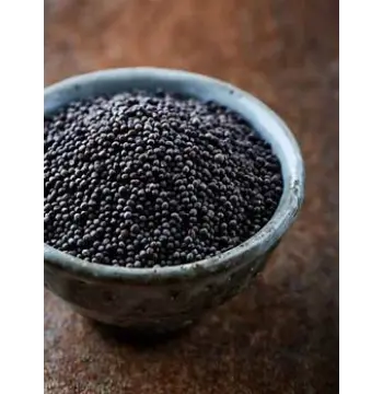 Fresh Black Mustard Seeds